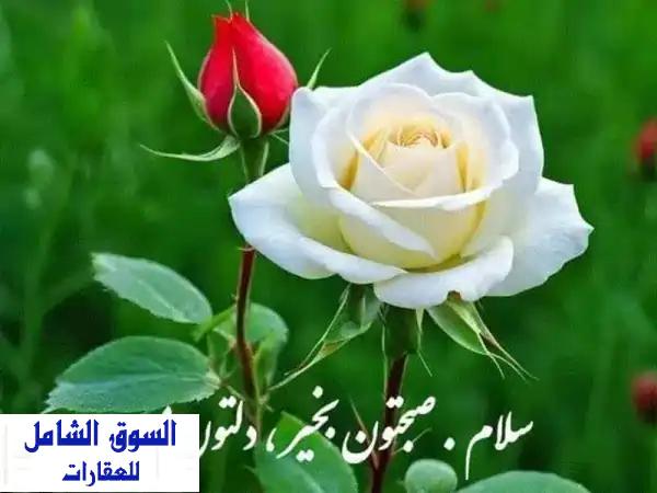 دوبلكس فاخر للإيجار بالصباحية 4: مدخل خاص،...