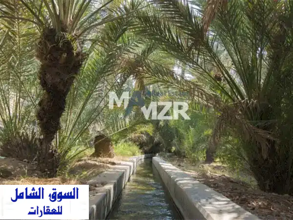 مزرعة للبيع في ليوا | الوهيدة | استثمار زراعي...