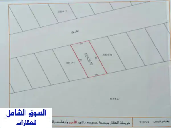 فرصة ذهبية! أرض للبيع في مخطط الربيع، المالكية -...