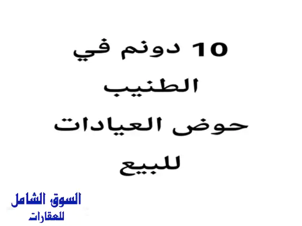 فرصة استثمارية ذهبية! 10 دونمات في الطنيب - عيادات...