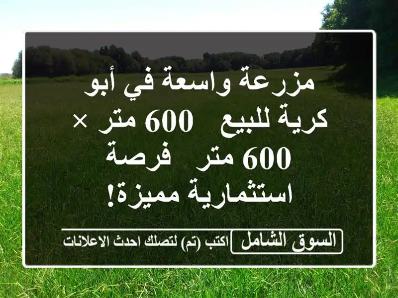 مزرعة واسعة في أبو كرية للبيع - 600 متر × 600 متر -...