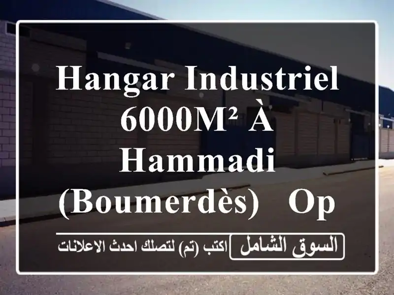 Hangar Industriel 6000m² à Hammadi (Boumerdès) - Opportunité d'Investissement!