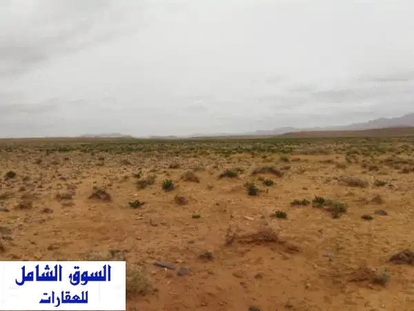 استثمر في مستقبل الطاقة المتجددة والزراعة: أراضٍ شاسعة للبيع في المغرب