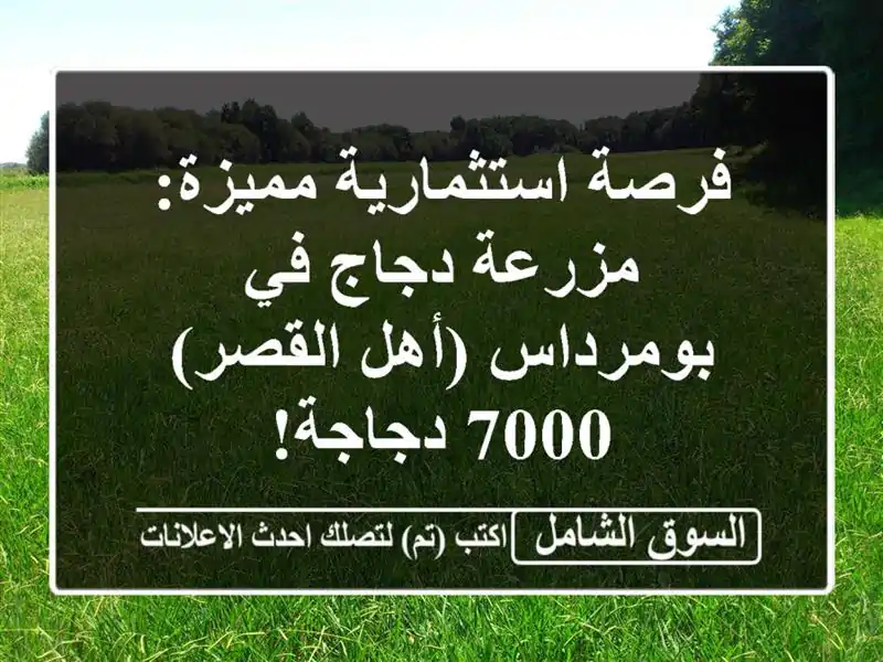 فرصة استثمارية مميزة: مزرعة دجاج في بومرداس (أهل...