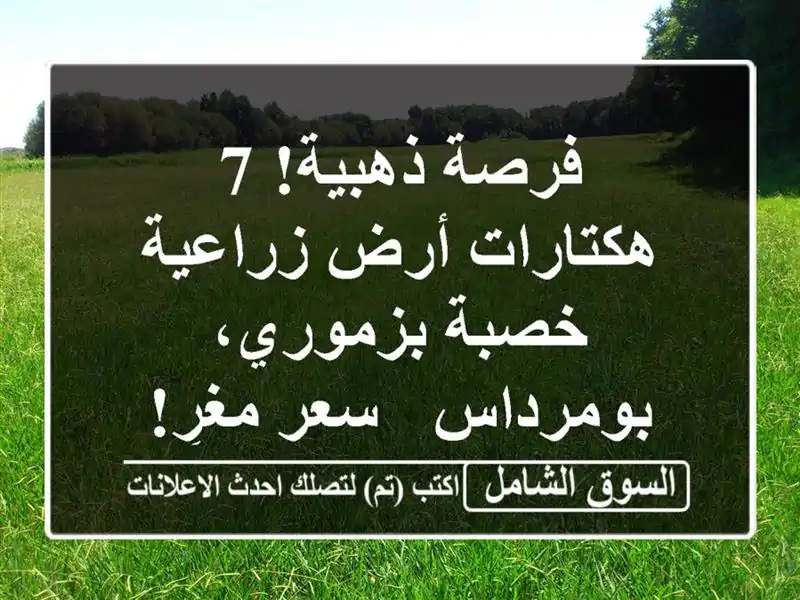 فرصة ذهبية! 7 هكتارات أرض زراعية خصبة بزموري، بومرداس...