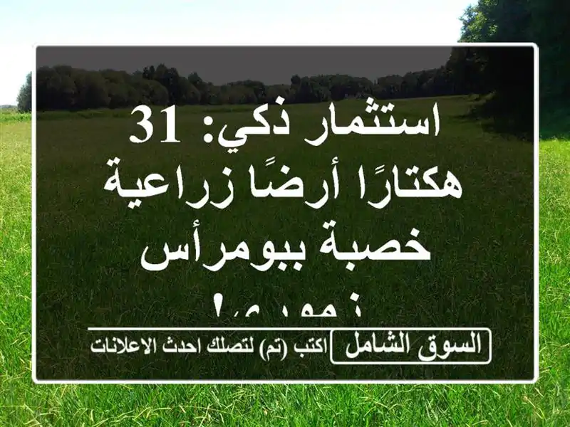 استثمار ذكي: 31 هكتارًا أرضًا زراعية خصبة ببومرأس...