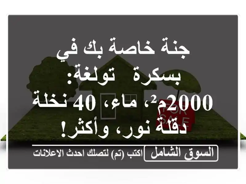 جنة خاصة بك في بسكرة - تولغة: 2000م²، ماء، 40 نخلة...