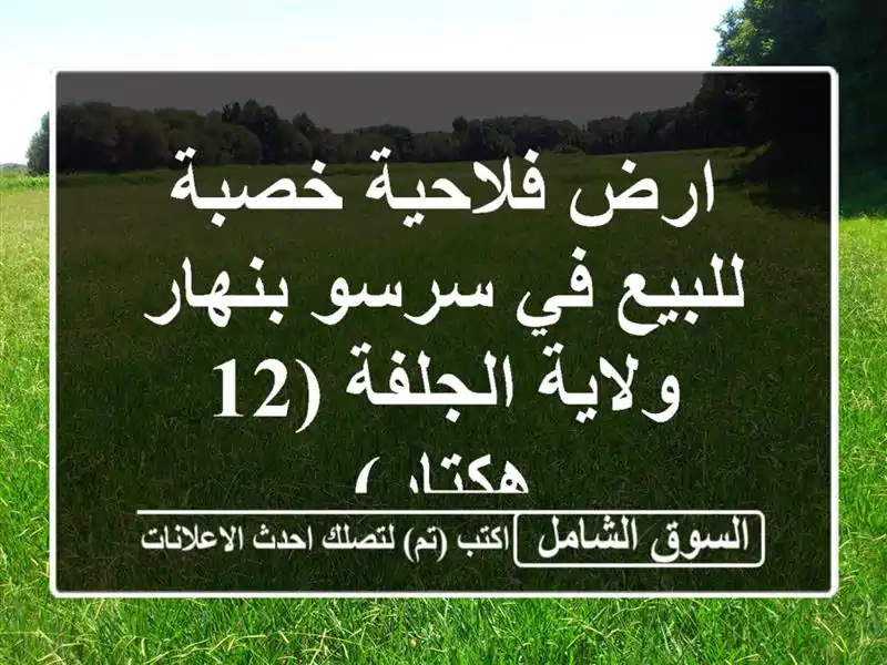 ارض فلاحية خصبة للبيع في سرسو بنهار - ولاية الجلفة...
