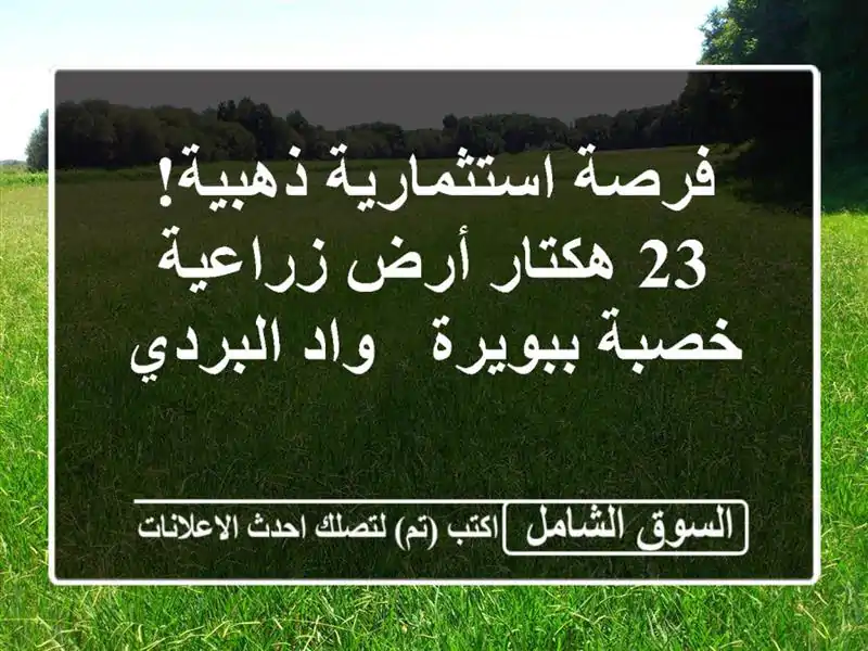 فرصة استثمارية ذهبية! 23 هكتار أرض زراعية خصبة ببويرة...