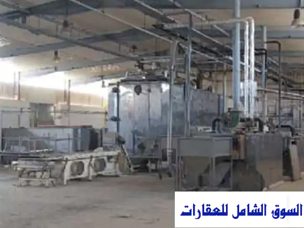 مصنع غذائي للبيع في برج العرب - 7500 متر - فرصة...