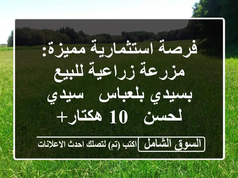 فرصة استثمارية مميزة: مزرعة زراعية للبيع بسيدي...