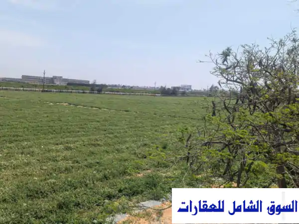 استثمار ذهبي! 90 فدانًا خصبة للبيع بوادي النطرون -...