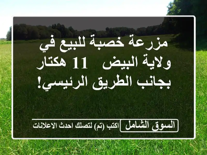 مزرعة خصبة للبيع في ولاية البيض - 11 هكتار بجانب...