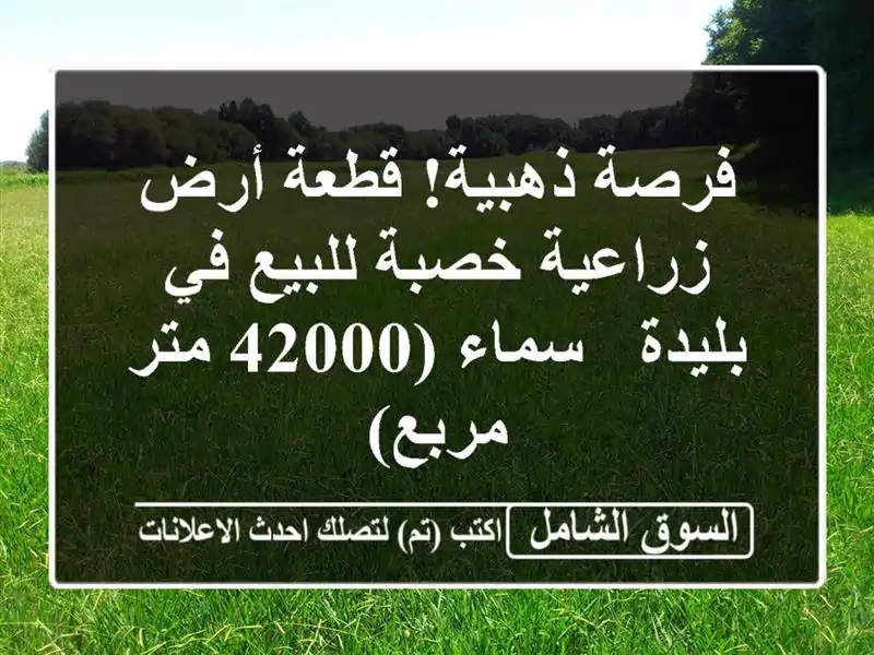 فرصة ذهبية! قطعة أرض زراعية خصبة للبيع في بليدة -...