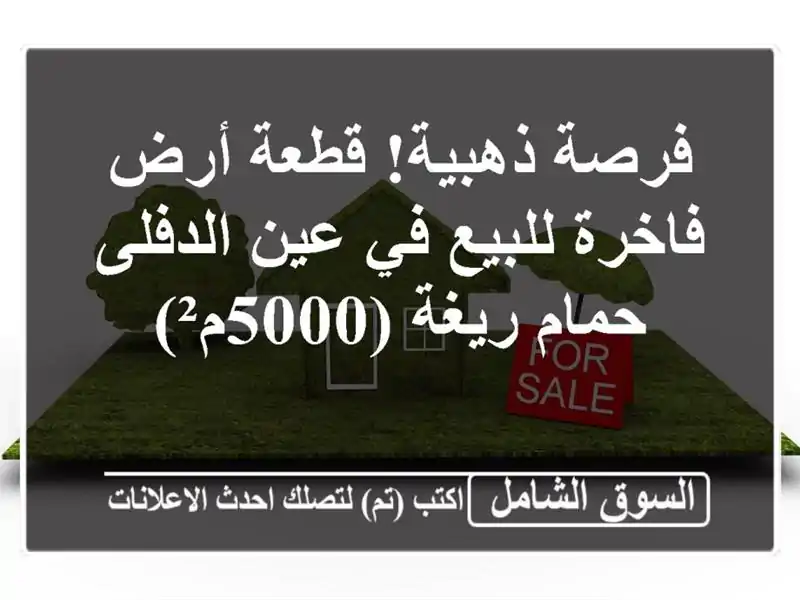 فرصة ذهبية! قطعة أرض فاخرة للبيع في عين الدفلى -...