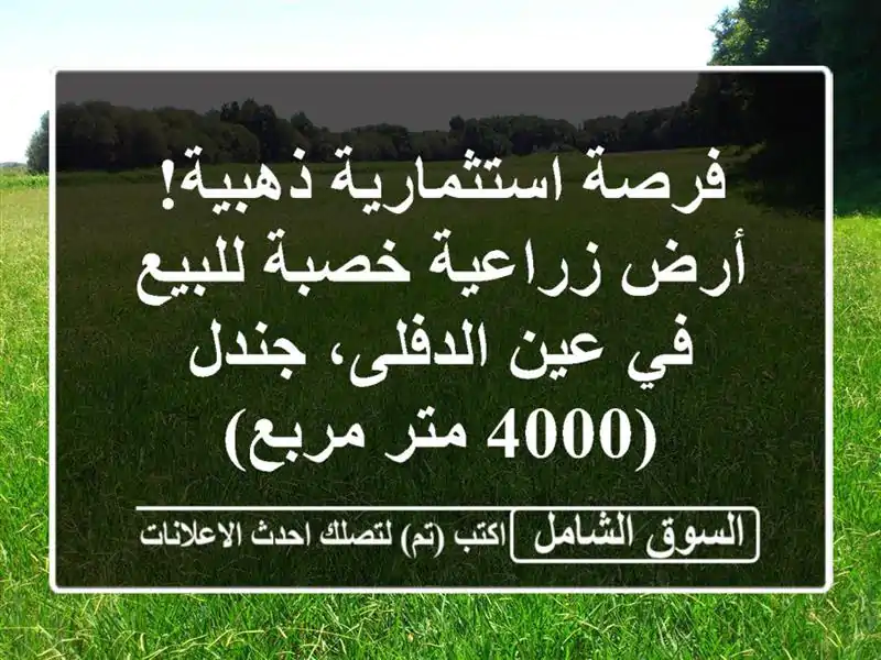 فرصة استثمارية ذهبية! أرض زراعية خصبة للبيع في...