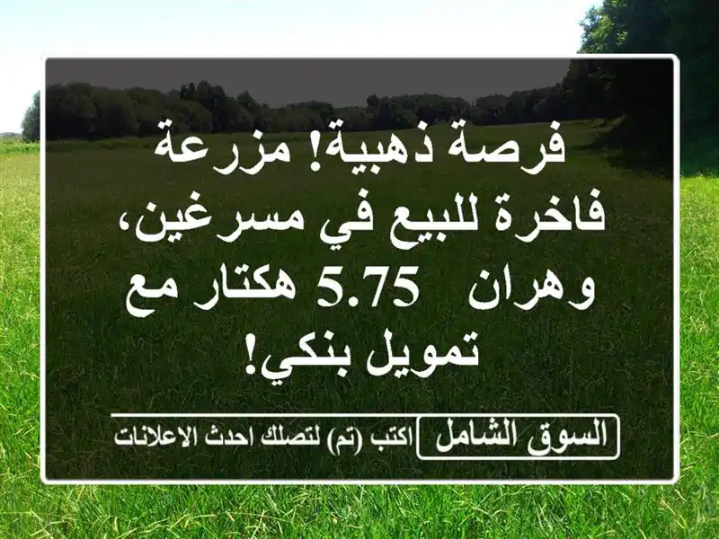 فرصة ذهبية! مزرعة فاخرة للبيع في مسرغين، وهران -...