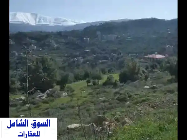 فرصة استثمارية ذهبية! عقار مسطح 1263م² للبيع في...
