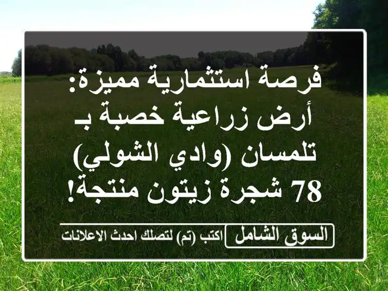 فرصة استثمارية مميزة: أرض زراعية خصبة بـ تلمسان...