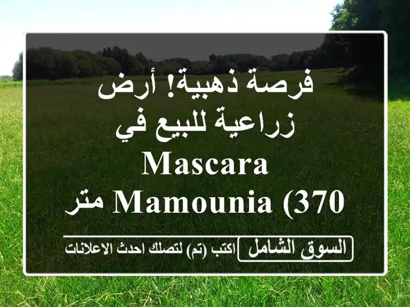 فرصة ذهبية! أرض زراعية للبيع في Mascara - Mamounia (370 متر مربع)