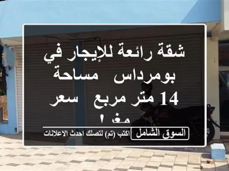 شقة رائعة للإيجار في بومرداس - مساحة 14 متر مربع -...
