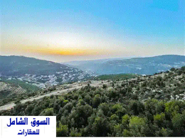 ارض فسيحة للبيع في كنيسة - فرصة استثمارية مميزة!