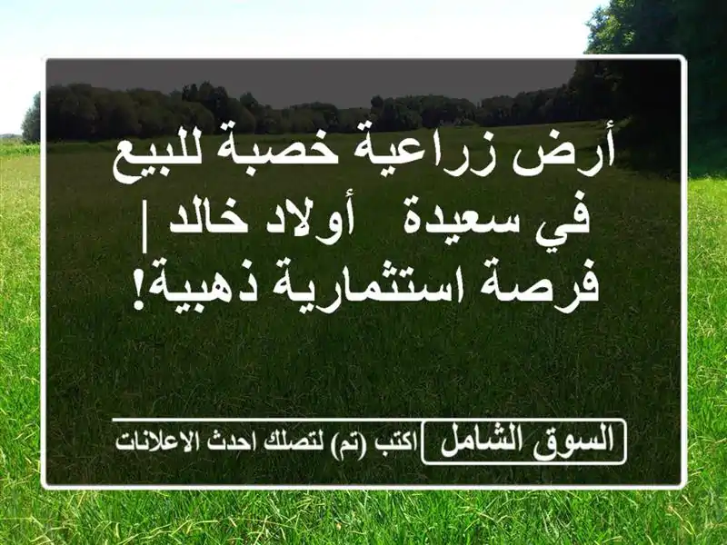 أرض زراعية خصبة للبيع في سعيدة - أولاد خالد |...