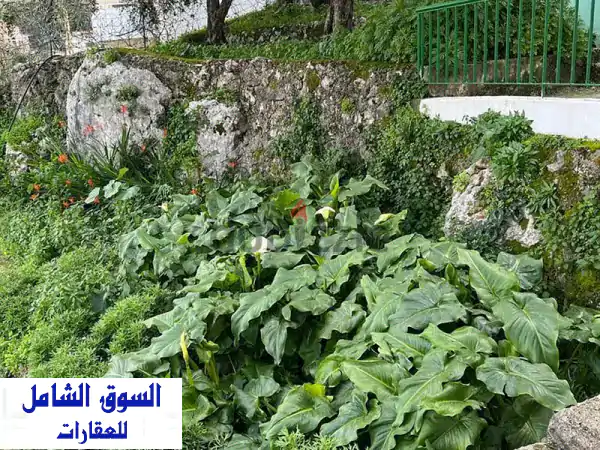 فرصة استثمارية ذهبية! أرض للبيع في قرنة الحمرا - 1949م² بمنطقة A-1