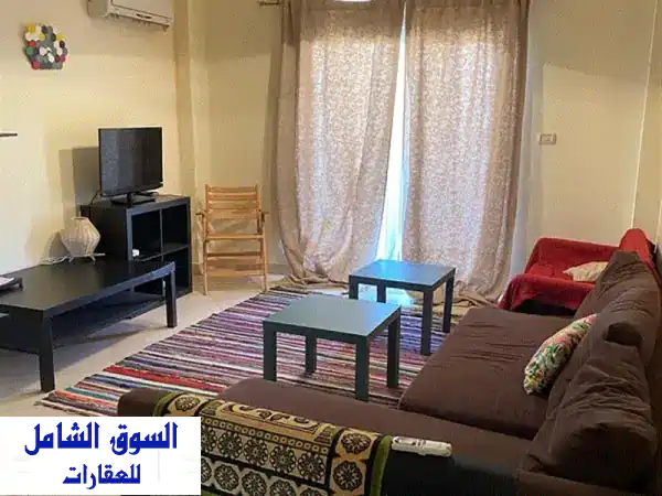 دوبلكس فاخر مفروش بالكامل في قرية الحياة العين...