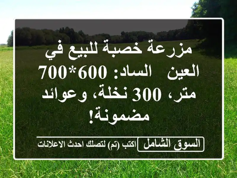 مزرعة خصبة للبيع في العين - الساد: 600*700 متر، 300...