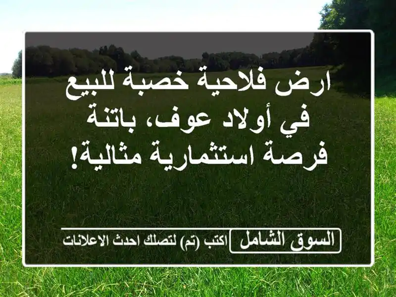 ارض فلاحية خصبة للبيع في أولاد عوف، باتنة -...