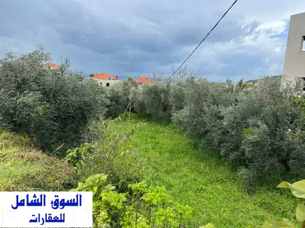 ارض للبيع في البترون - فرصة استثمارية ذهبية مع...
