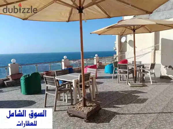 شقة فاخرة للإيجار اليومي في المندرة بالإسكندرية...