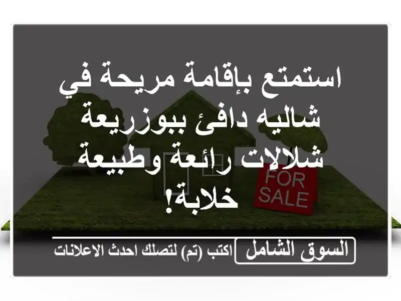 استمتع بإقامة مريحة في شاليه دافئ ببوزريعة -...
