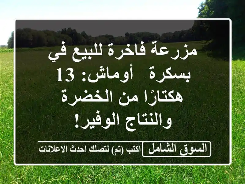 مزرعة فاخرة للبيع في بسكرة - أوماش: 13 هكتارًا من...