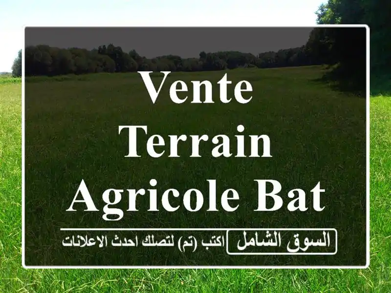 Vente Terrain Agricole Batna Tazoult