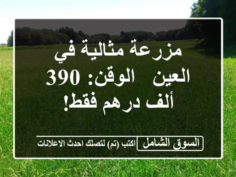 مزرعة مثالية في العين - الوقن: 390 ألف درهم فقط!