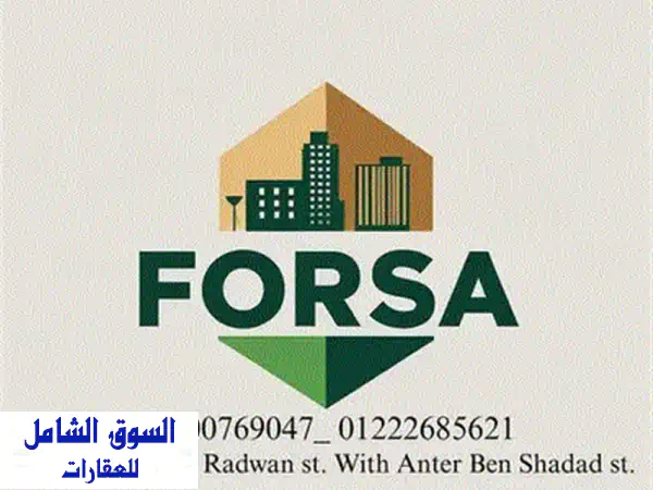 فرصة استثمارية ذهبية! محل تجاري 220م² للبيع في طنطا - شارع سعيد مع شوقي (كود 1178)