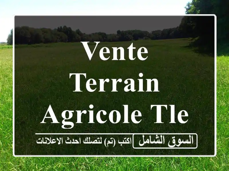 Vente Terrain Agricole Tlemcen Tlemcen
