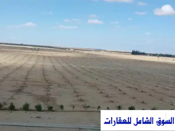 استثمر في مزرعة 5 أفدنة بوادي النطرون.. مشروع...
