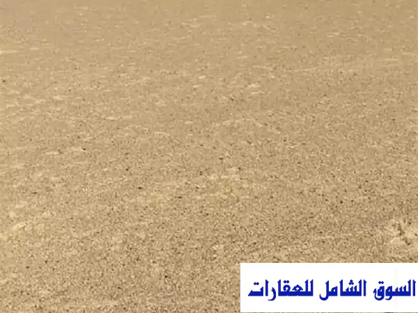 250 فدانًا في الواحات البحرية: استثمارك الذهبي ينتظرك!