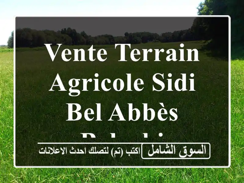 Vente Terrain Agricole Sidi Bel Abbès Belarbi