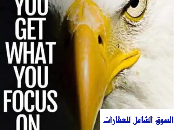 صيدلية راسخة للبيع في ميامي، الإسكندرية -...