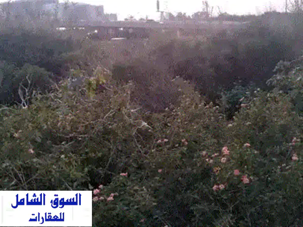 ارض للبيع في بكفيا - فرصة استثمارية ذهبية بـ 50$ فقط للمتر!