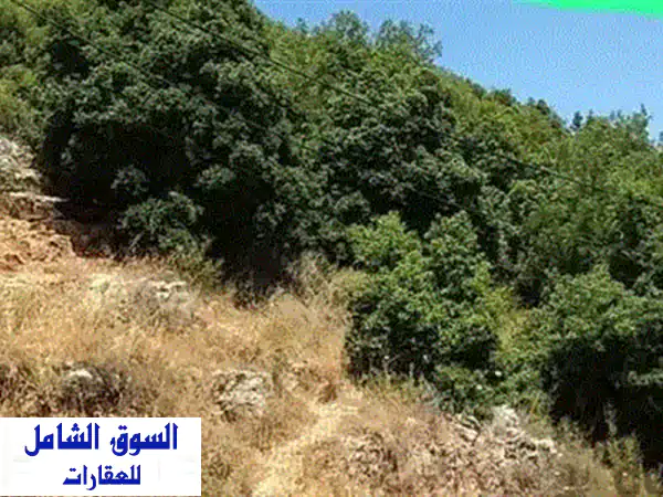 استثمار عقاري مميز: أرض للبيع في عشقوت، كسروان (1241 م²) - فرصة ذهبية!