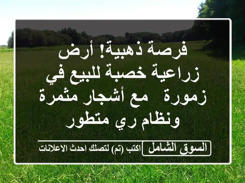 فرصة ذهبية! أرض زراعية خصبة للبيع في زمورة - مع...