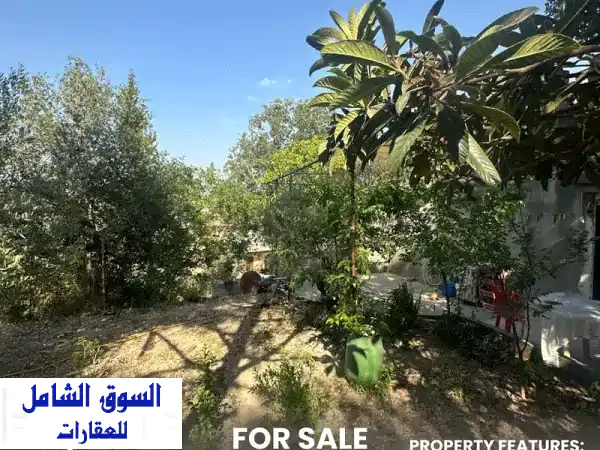منزل أحلامك في برجا الشوف: فيلا فسيحة بإطلالة...