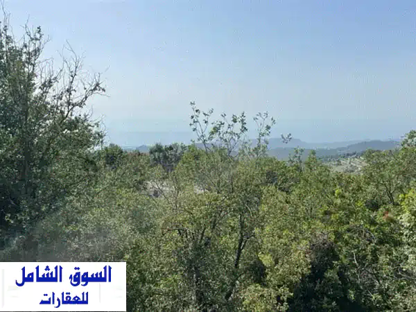 land for sale in mechmechjbeil أرض للبيع في مشمش جبيل