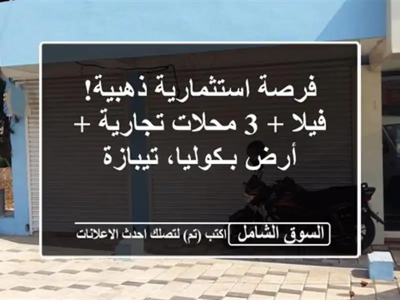 فرصة استثمارية ذهبية! فيلا + 3 محلات تجارية +...
