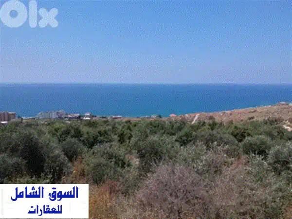 ارض للبيع في جبيل جدايل (2673م2) | موقع مميز | استثمار وبناء أحلامك | RWB125 MT